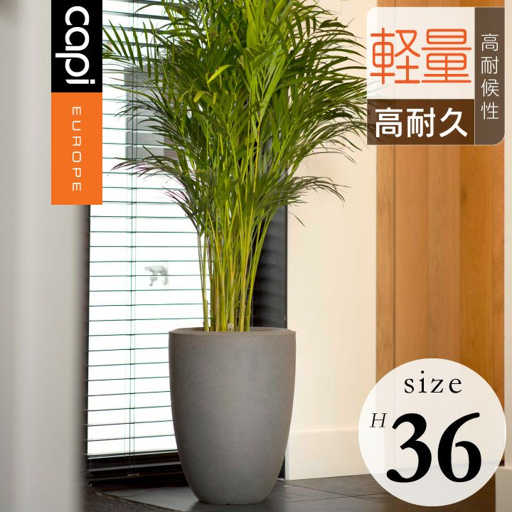 カピ（Capi） アーバンチューブ ベースエレガント（UrbanTube