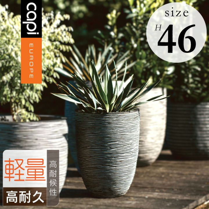 Capi（カピ） | 《公式》JUICYGARDEN [ジューシーガーデン]