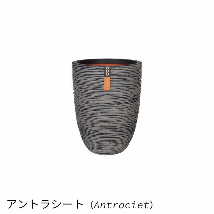 カカヒアカページ カピ（Capi） ネイチャーリブ ベースエレガント（NatureRib