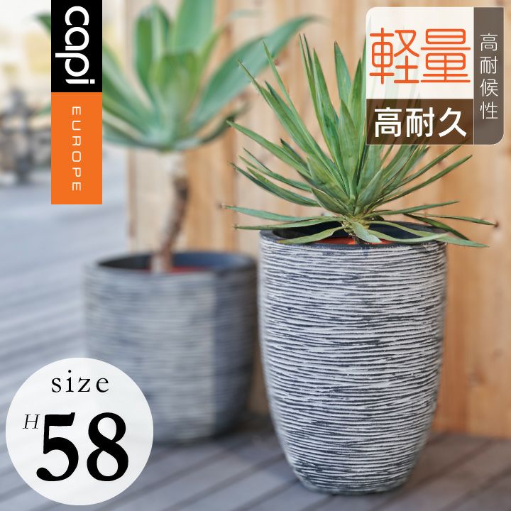 カピ（Capi） ネイチャーリブ ベースエレガント（NatureRib