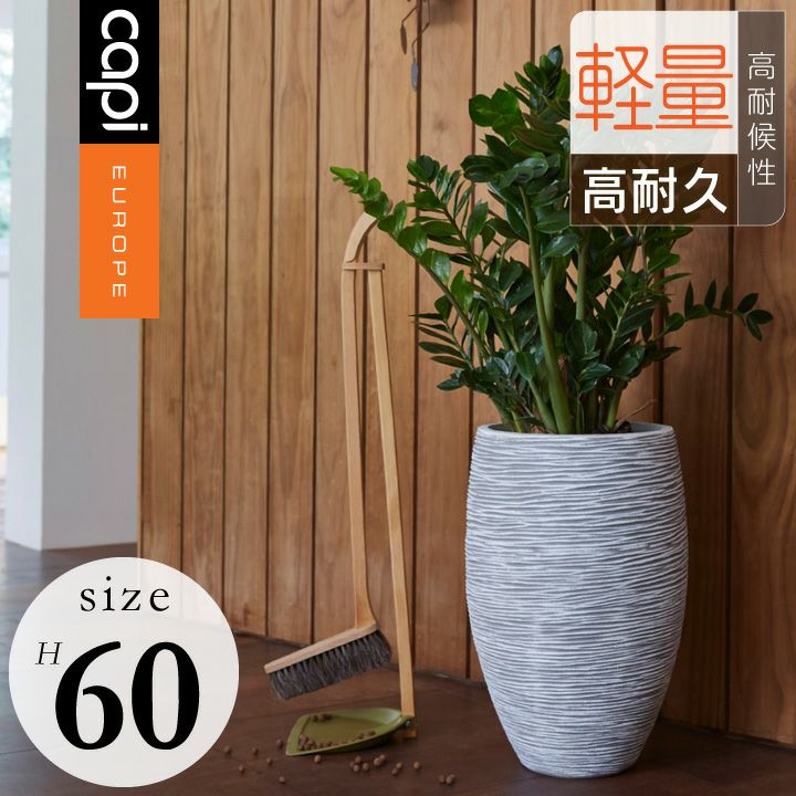 Capi（カピ） | 《公式》JUICYGARDEN [ジューシーガーデン]