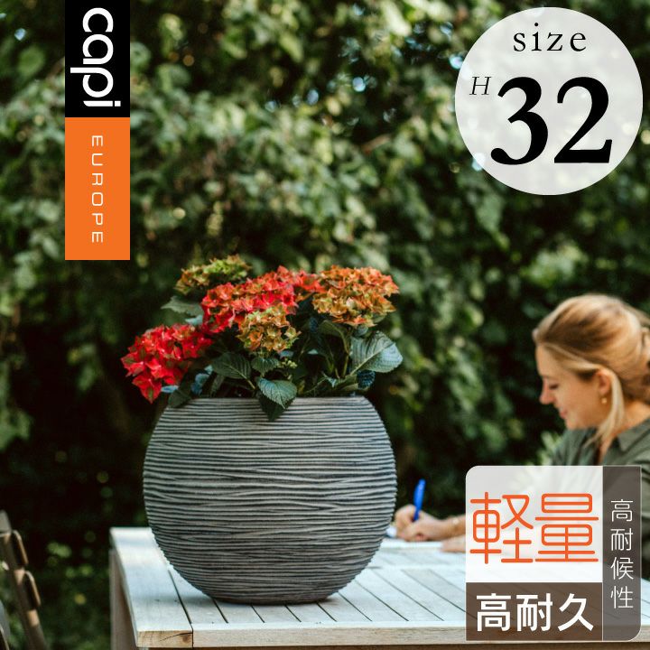 Capi（カピ） | 《公式》JUICYGARDEN [ジューシーガーデン]