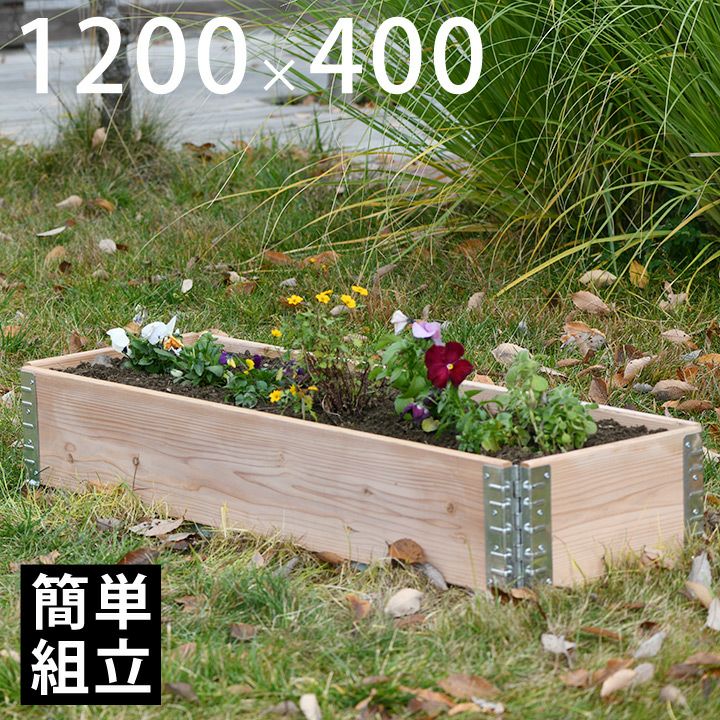 000000009876-01.jpg?size=l&w=