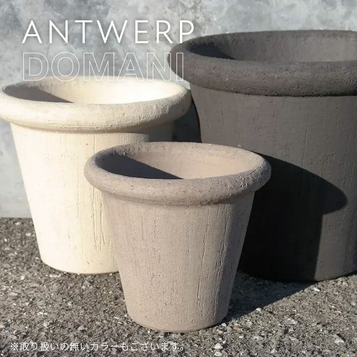 000000010317-02.jpg?size=l&w=