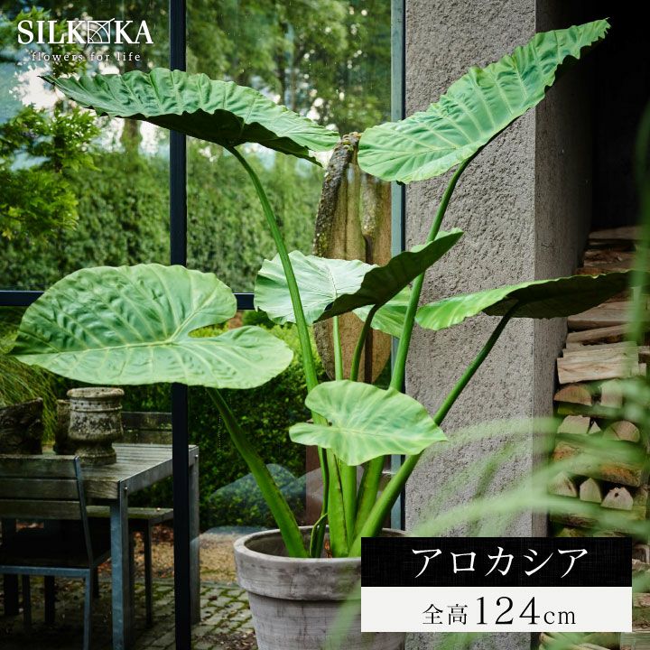 大型 フェイクグリーン「アロカシア 124cm シルカ（Silk-ka
