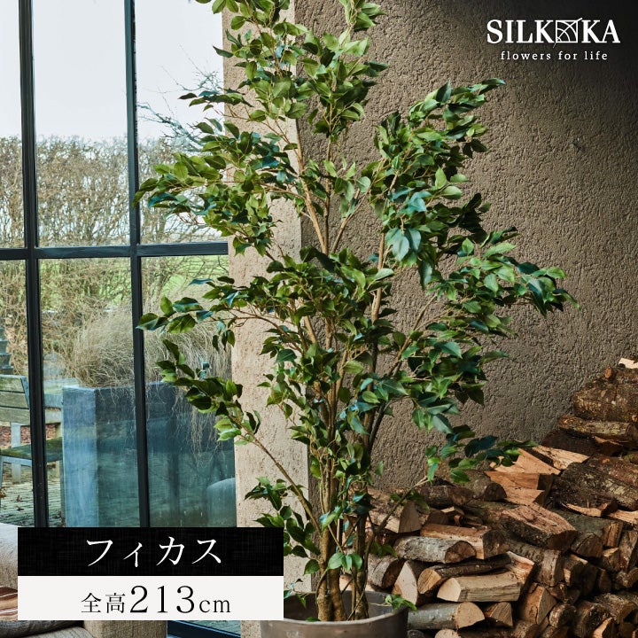 大型 フェイクグリーン「ストレリチア 150cm シルカ（Silk-ka