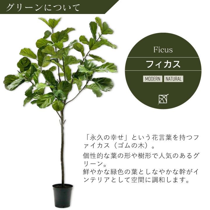 大型 フェイクグリーン「フィカス（ファイカス） 254cm シルカ（Silk