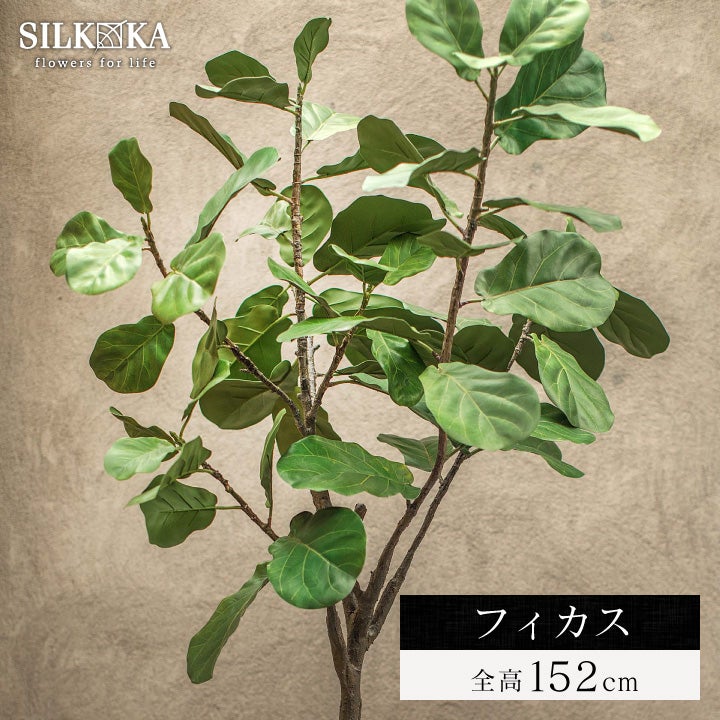 大型 フェイクグリーン「ファイカス（フィカス） 198cm シルカ（Silk