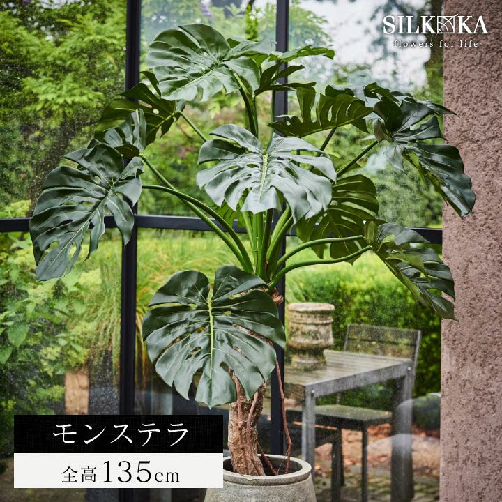 000000011022-01.jpg?size=l&w=