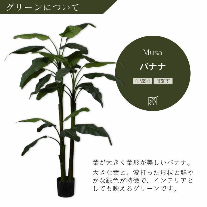 大型 フェイクグリーン「バナナ 220cm シルカ（Silk-ka）」おしゃれ