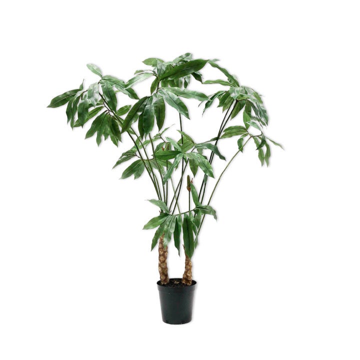 000000011025-01.jpg?size=l&w=