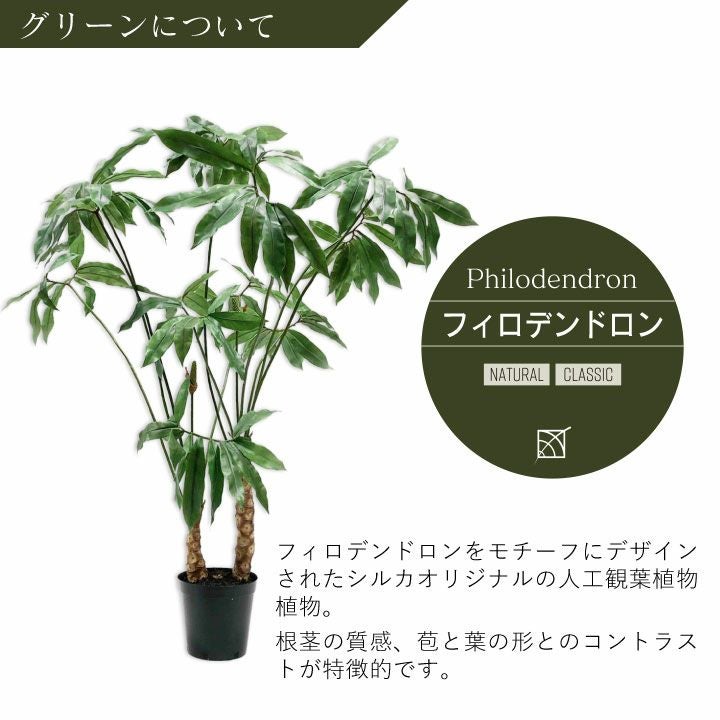 大型 フェイクグリーン「フィロデンドロン 204cm シルカ（Silk-ka