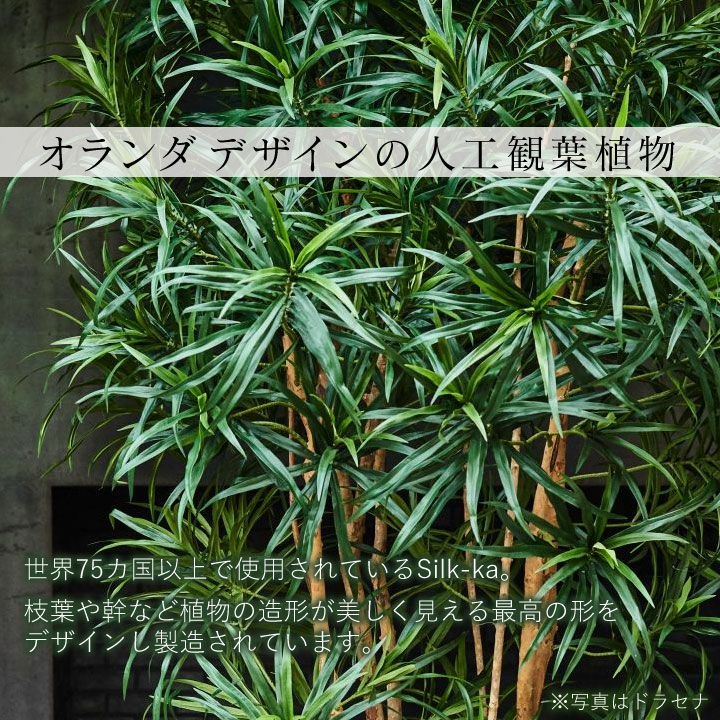 大型 フェイクグリーン「フィロデンドロン 204cm シルカ（Silk-ka