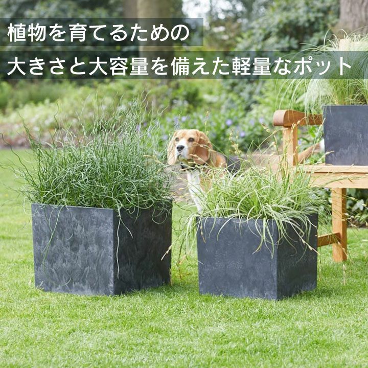 000000011369-02.jpg?size=l&w=
