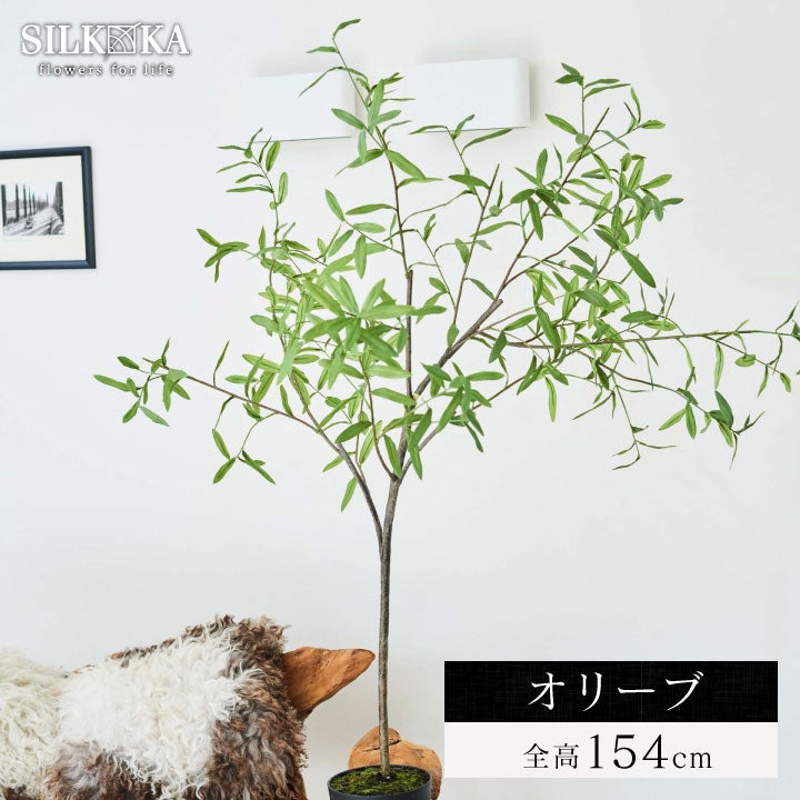 オリーブ 154cm シルカ（Silk-ka）」 | 《公式》JUICYGARDEN