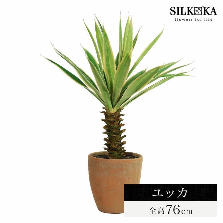ユッカ 76cm シルカ（Silk-ka）」 | 《公式》JUICYGARDEN [ジューシー