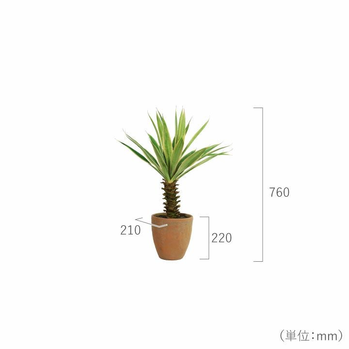 ユッカ 76cm シルカ（Silk-ka）」 | 《公式》JUICYGARDEN [ジューシー