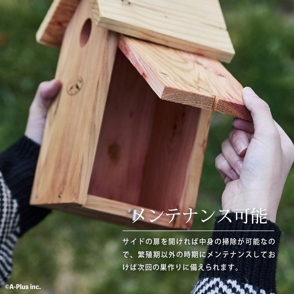 000000012629-05.jpg?size=l&w=