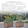 無駄を削ぎ落とし、テクスチャーや品質、使い勝手の良さを出来る限り高めた大型プランター。様々なサイズやオプションを取り揃え、屋内外を問わず商業施設やオフィス、自宅など様々なシーンで活躍します。