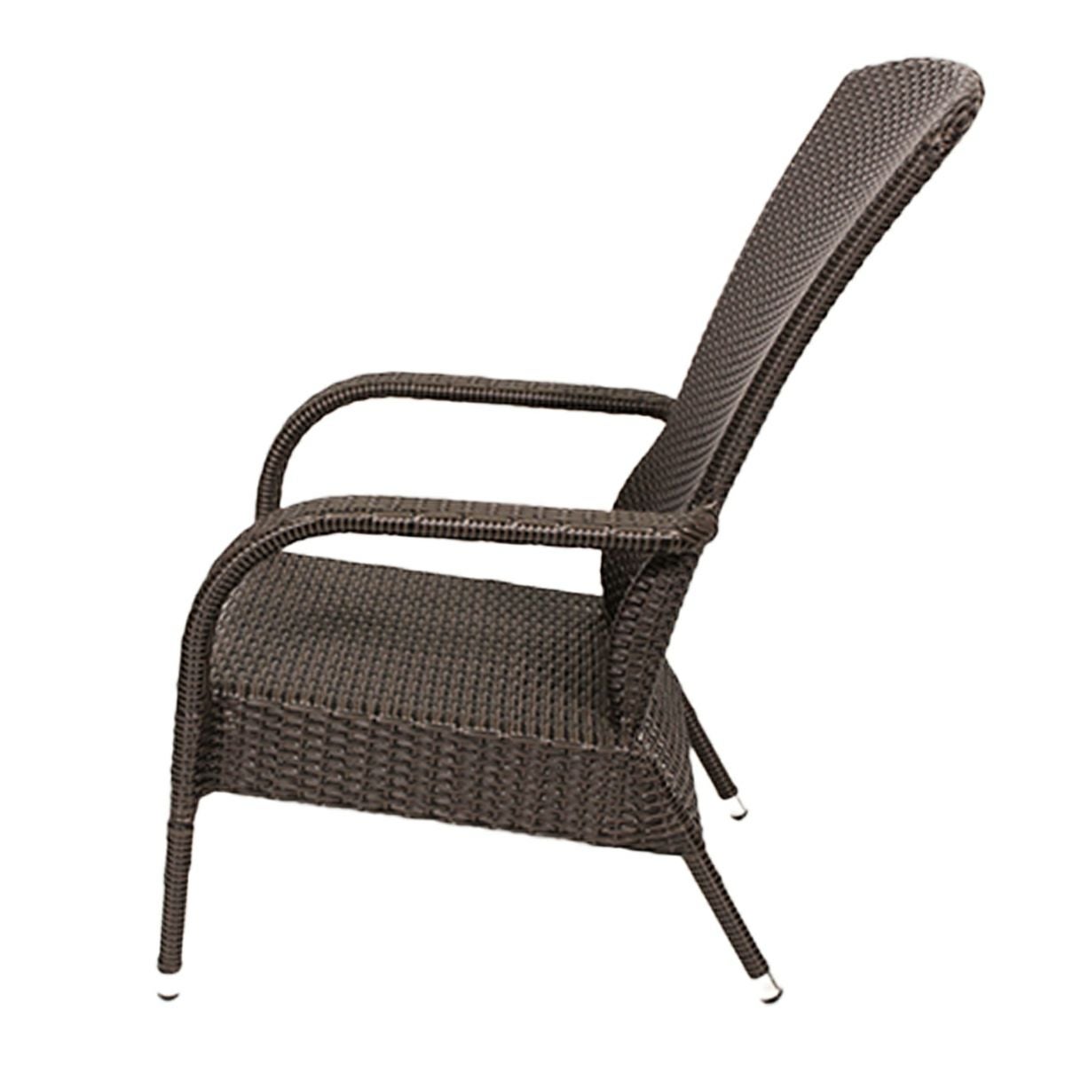 ととのい椅子 人工ラタン 「 ハイバックラウンジチェア DG-003N