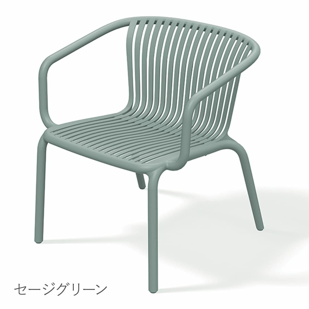 セージグリーンの画像