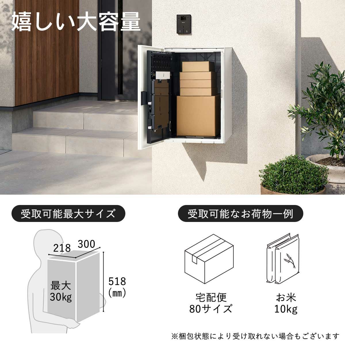 宅配ボックス ナスタボックス+ Mサイズ 壁付け （KS-TL06NP