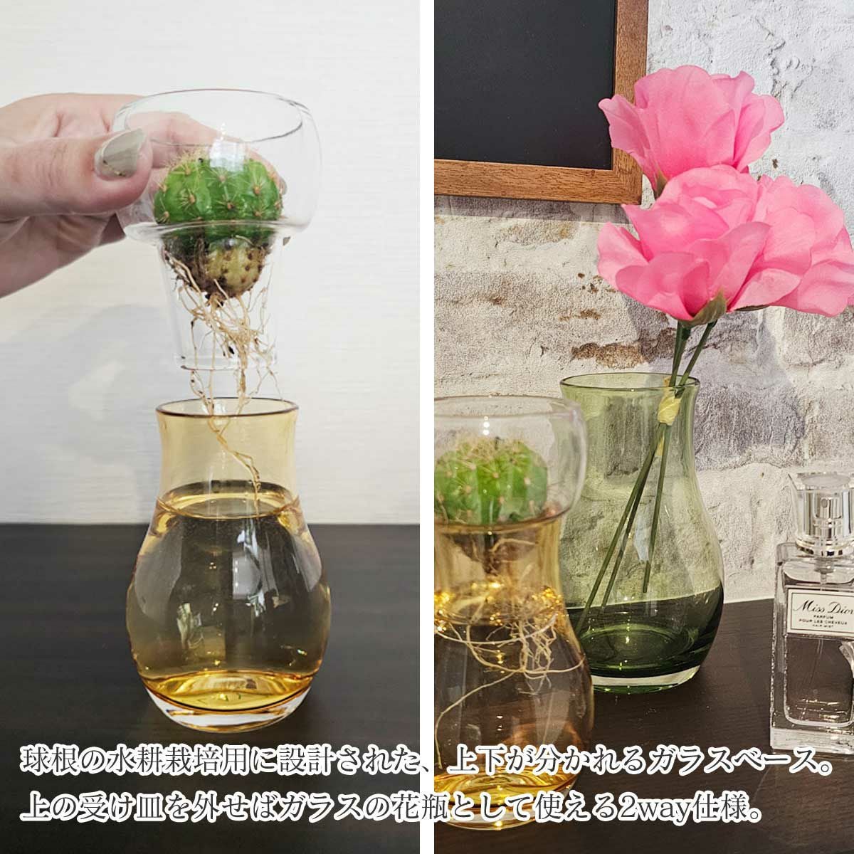 水耕栽培 花瓶 2WAYで楽しめる ガラスポット 「 Bulbee（バルビー