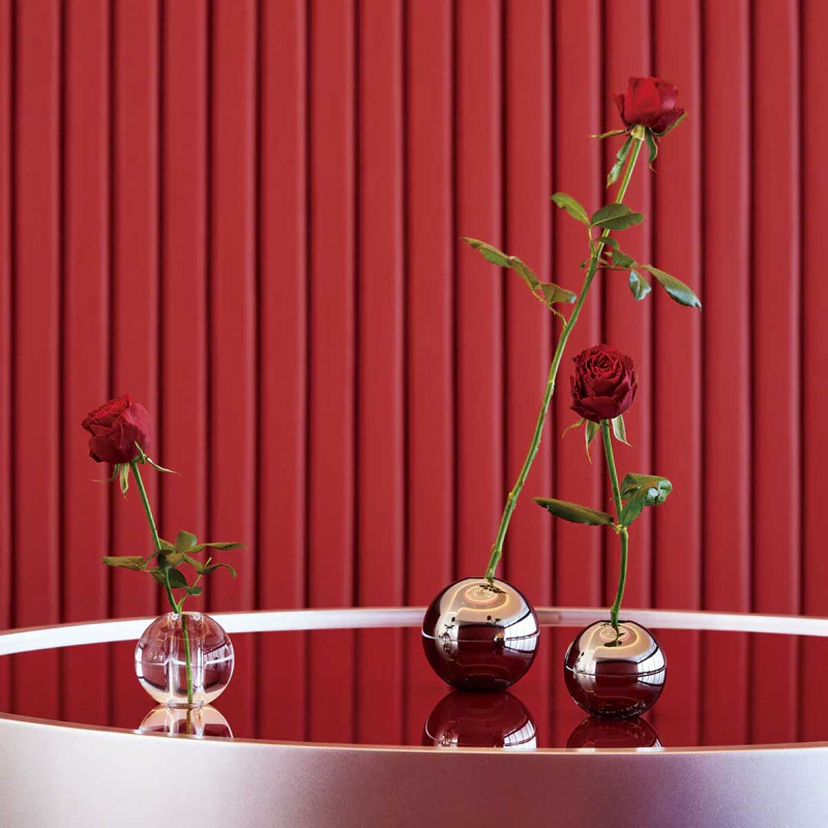 ノーヴァ使用イメージ