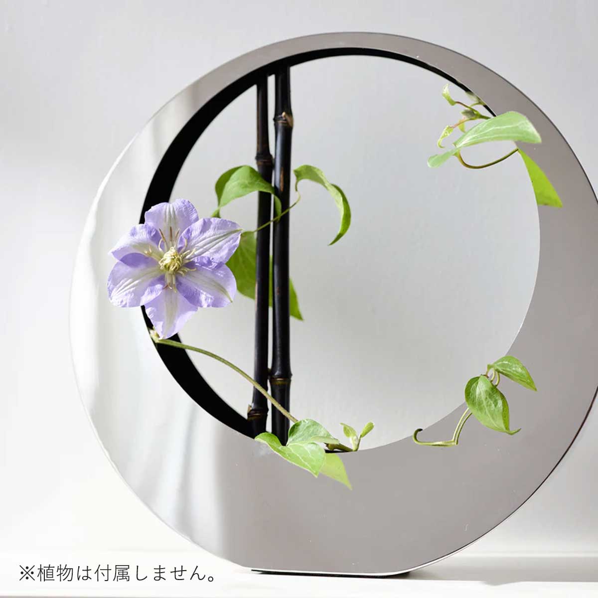 ステンレス アーク使用イメージ